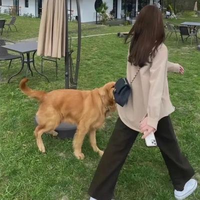 喧闹一家亲第四季